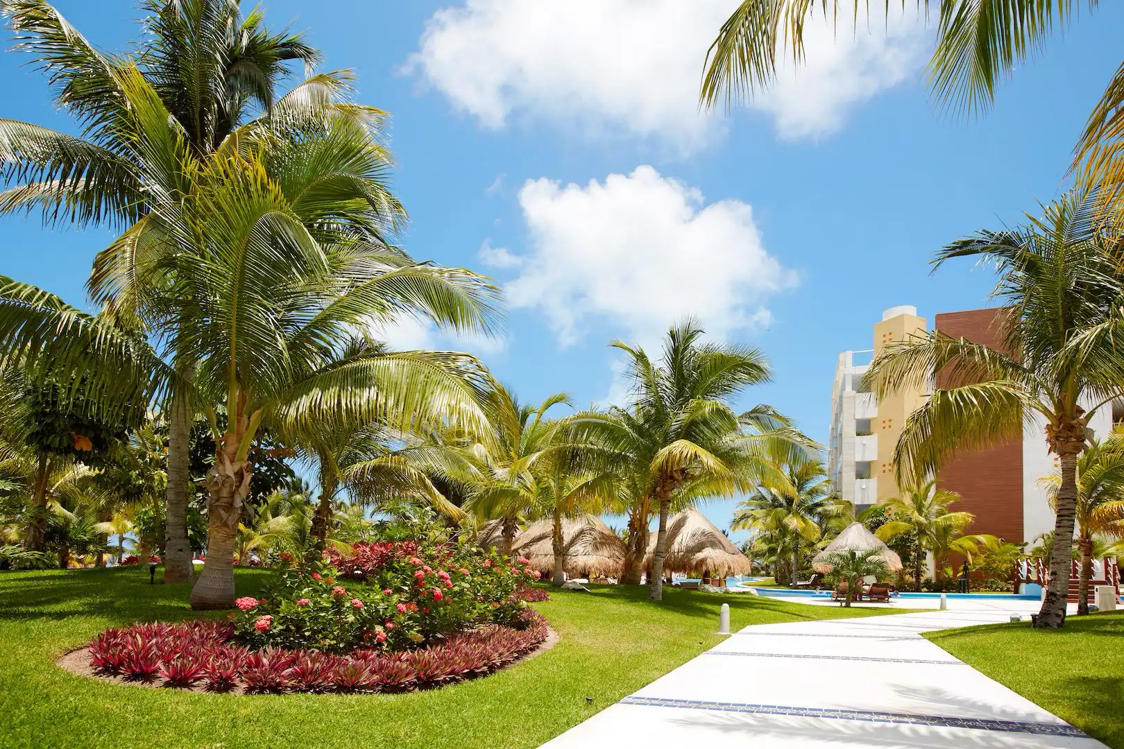 Somos una empresa de jardinería dedicada al mantenimiento de zonas verdes y a la planificación, diseño y ejecución de obras en jardines en España y Portugal especializados en hoteles, complejos turísticos, restauración de espacios verdes y zonas ajardinadas, proveedores de plantas… nos avalan más de 20 años de experiencia.