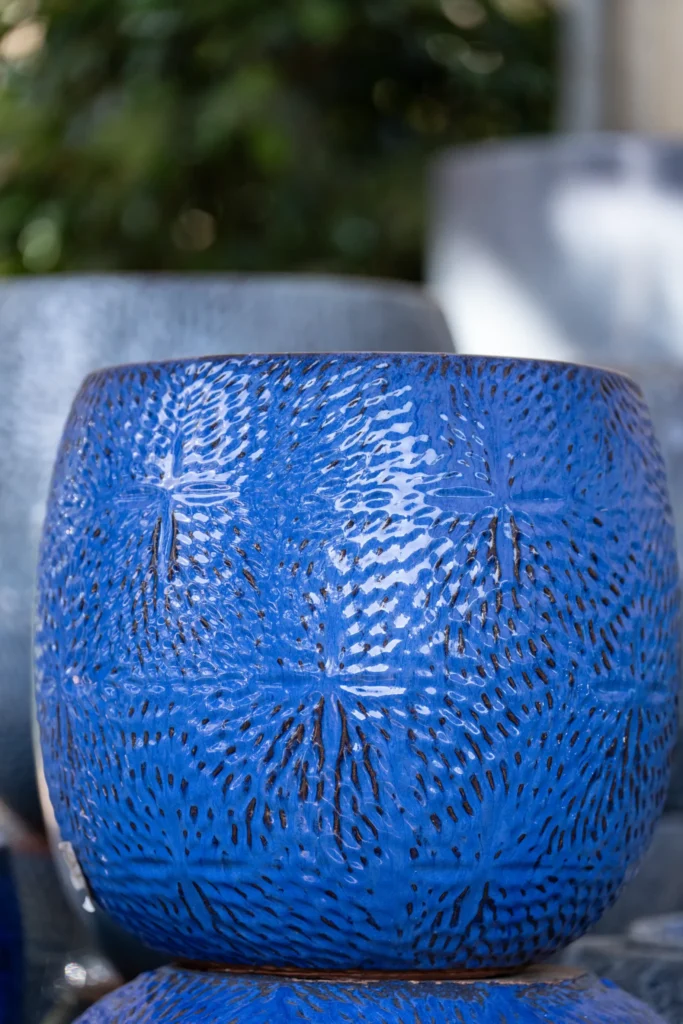 Green Week, Losteflor e as suas ofertas de 24 a 30 de novembro