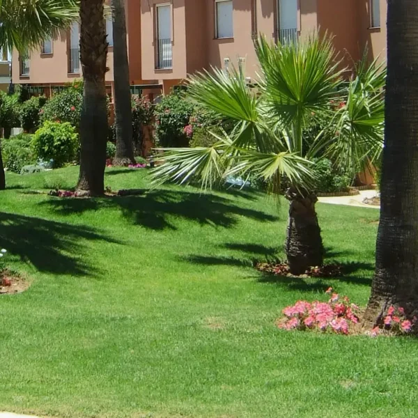 Servicios de mantenimiento de jardines en Cádiz - Vivero de plantas en Chiclana de la Frontera