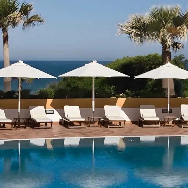 Servicios de mantenimiento de jardines en Cádiz - Vivero de plantas en Chiclana de la Frontera 2